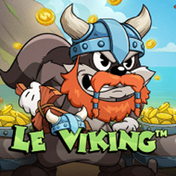 Le Viking raccoon viking helmet coins